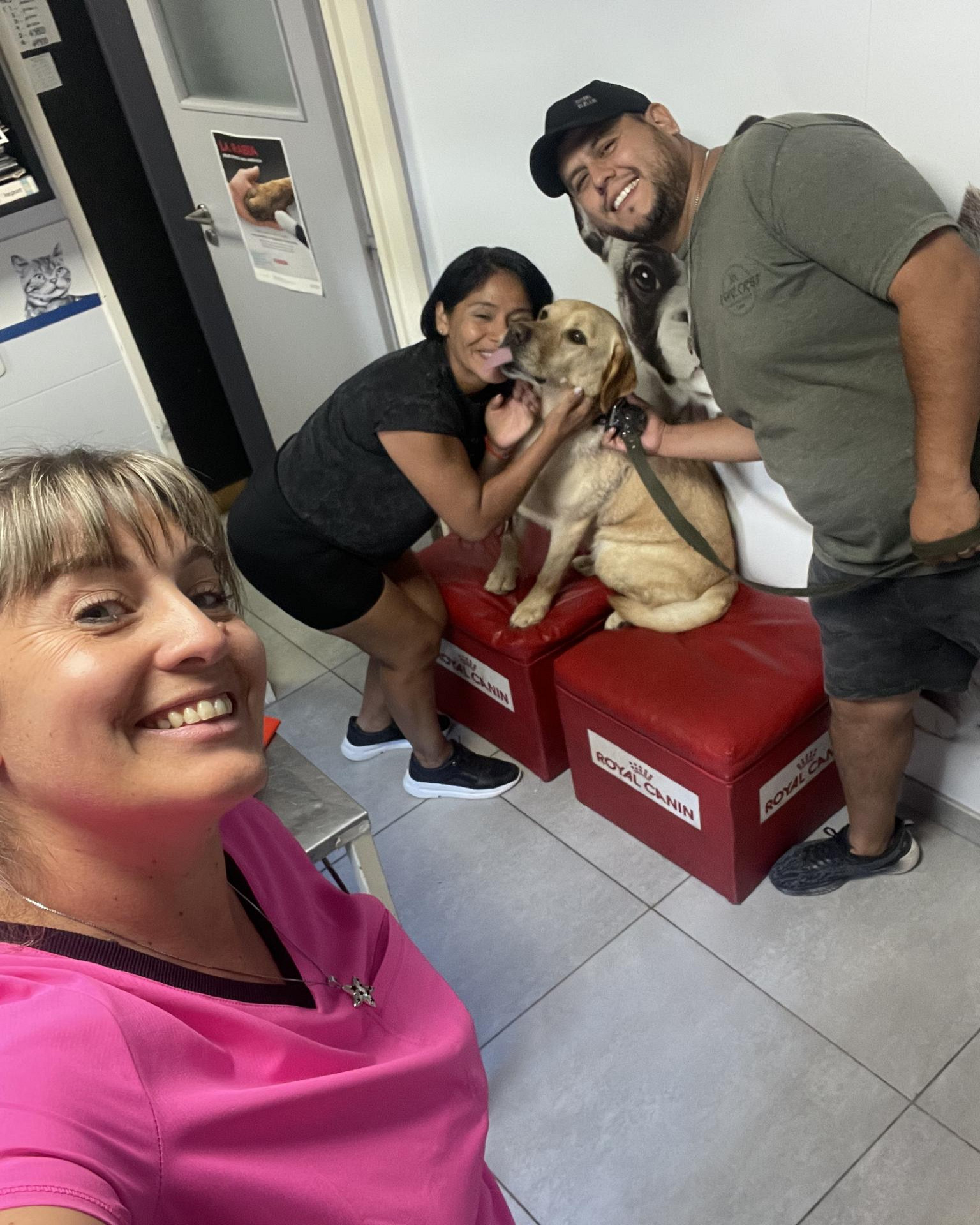 guia comercio - Atenci�n veterinaria * Veterinaria del Sol